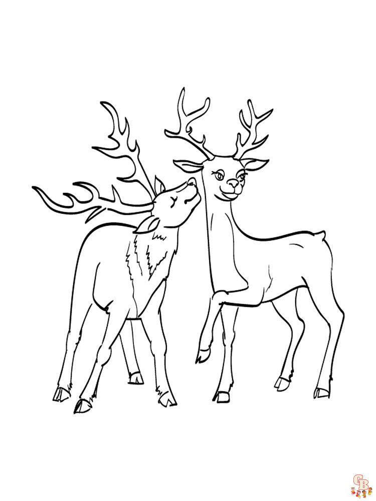 Coloriage Cerf