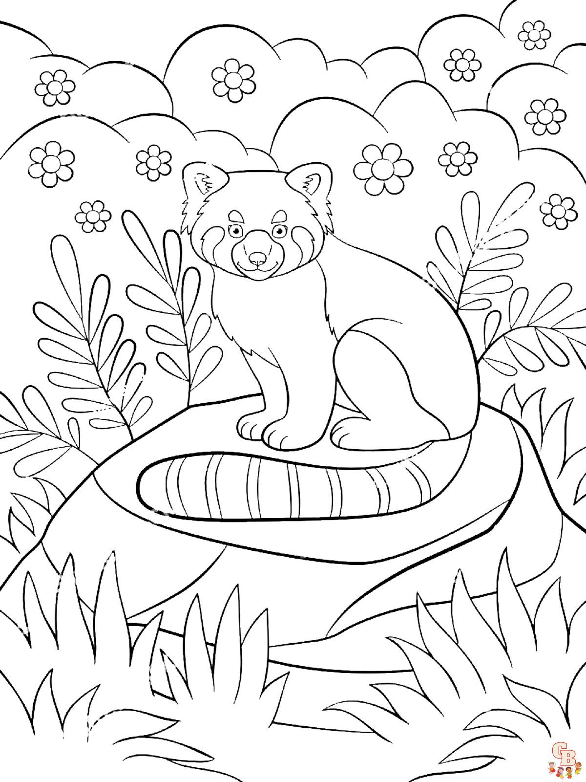 Coloriage Panda Roux