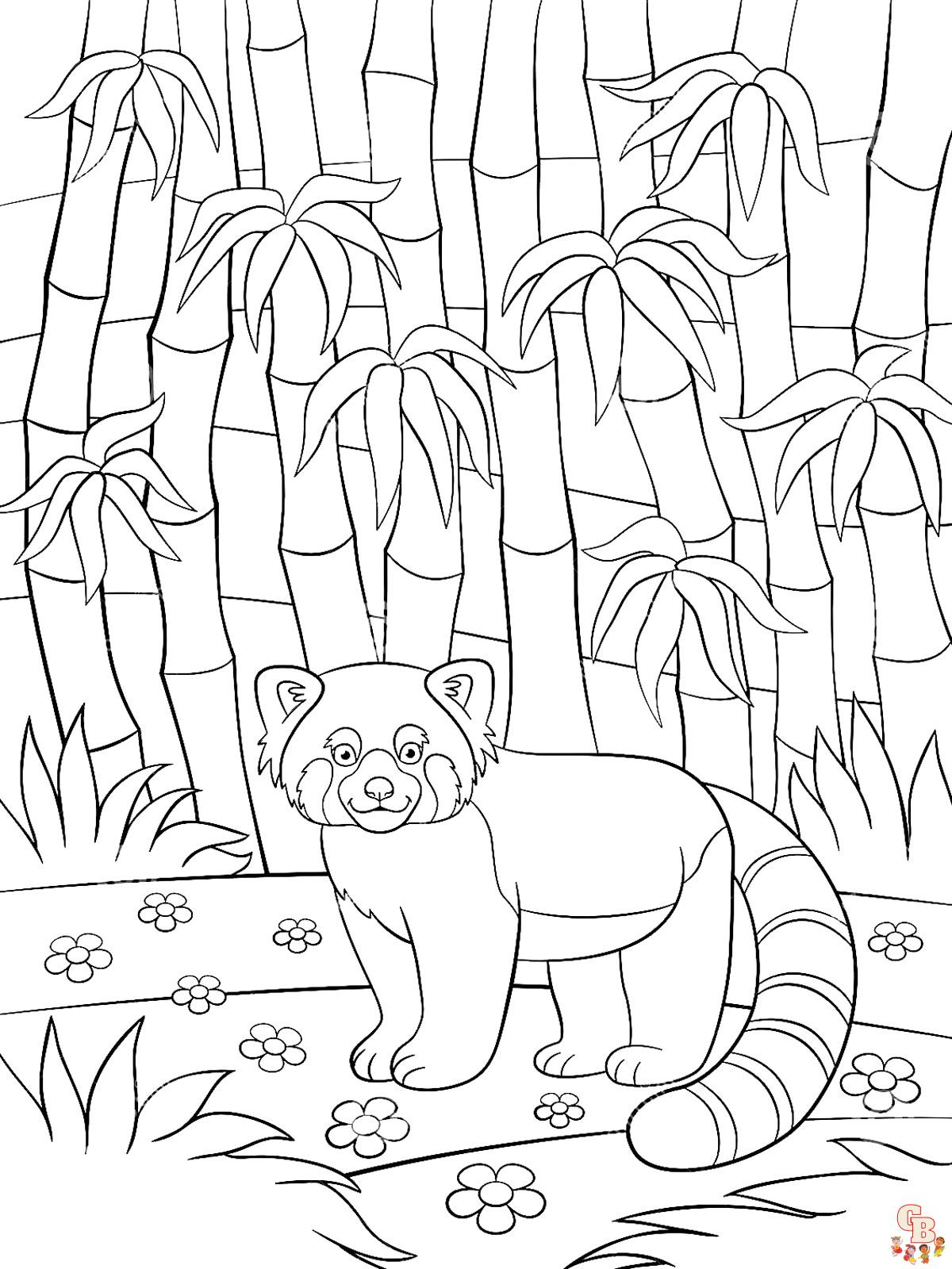 Coloriage Panda Roux