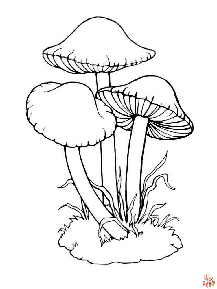 Coloriage champignon