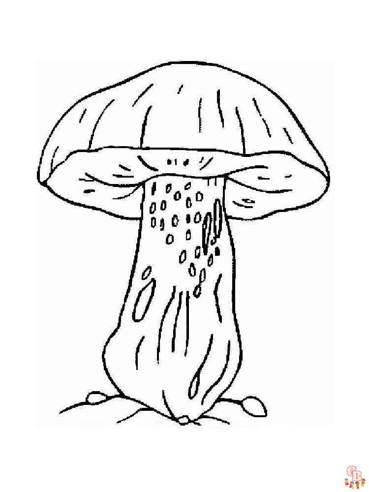 Coloriage champignon