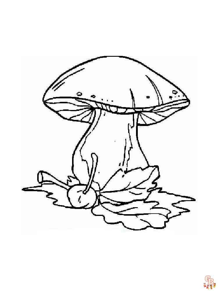 Coloriage champignon