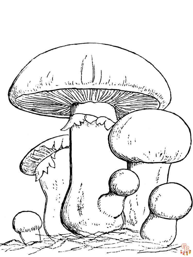 Coloriage champignon