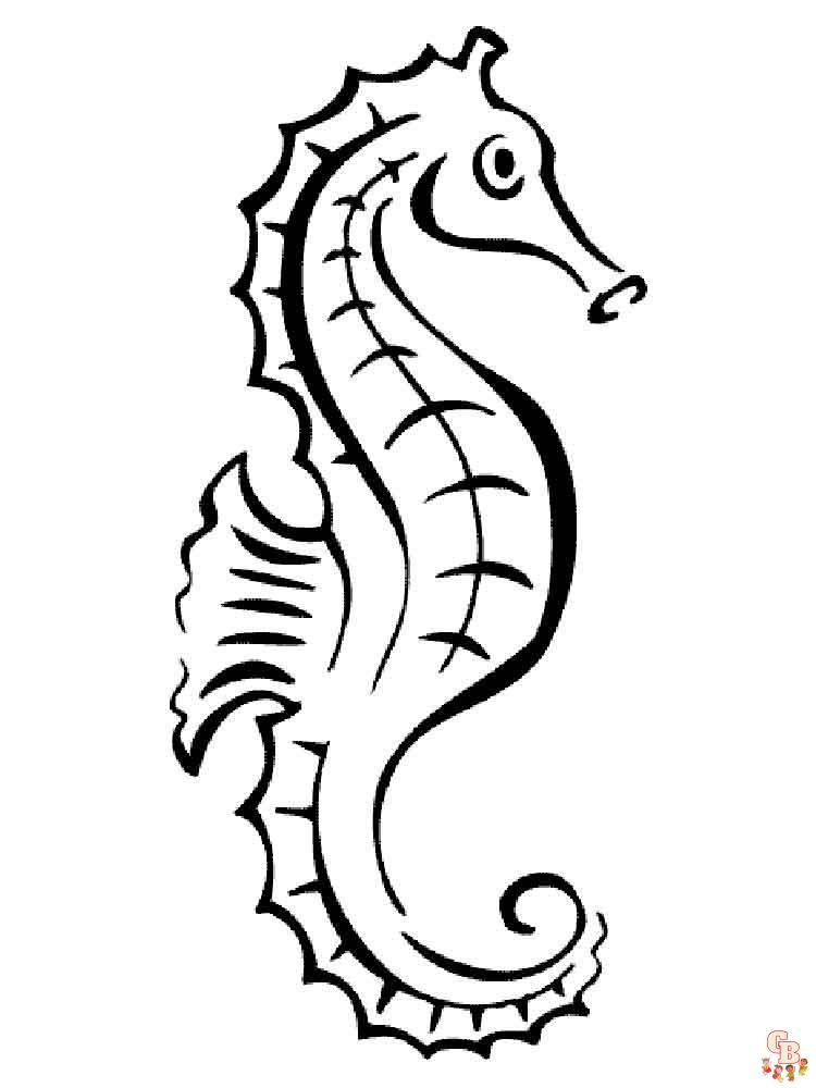 Coloriage hippocampe