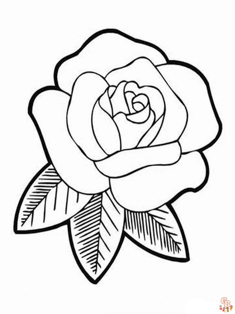 Coloriage rose