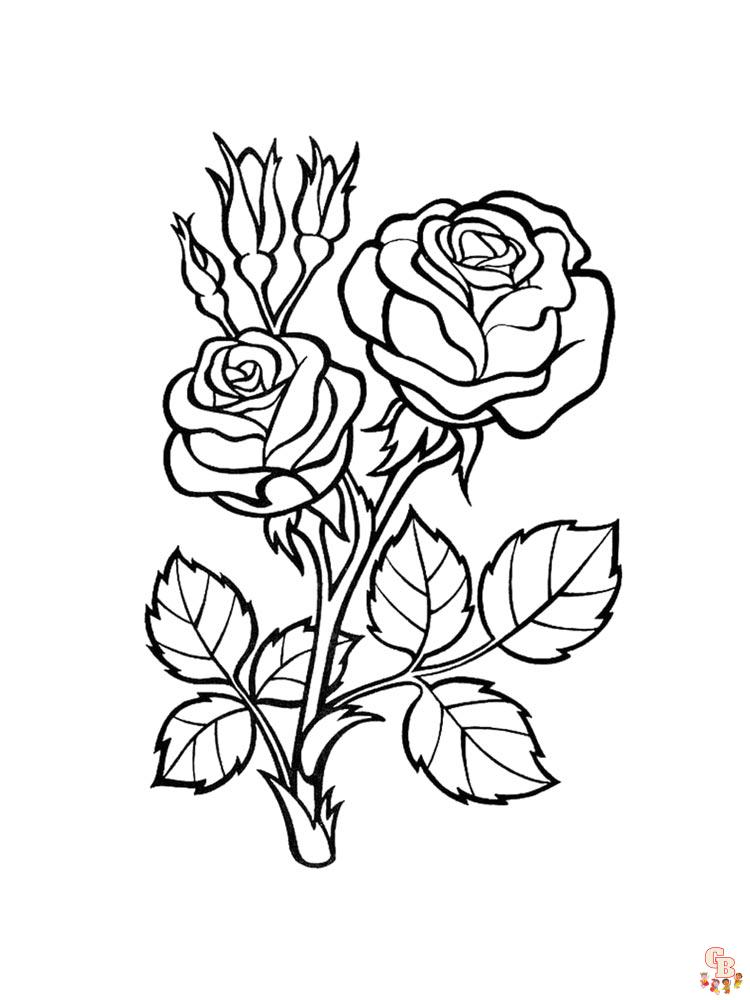 Coloriage rose