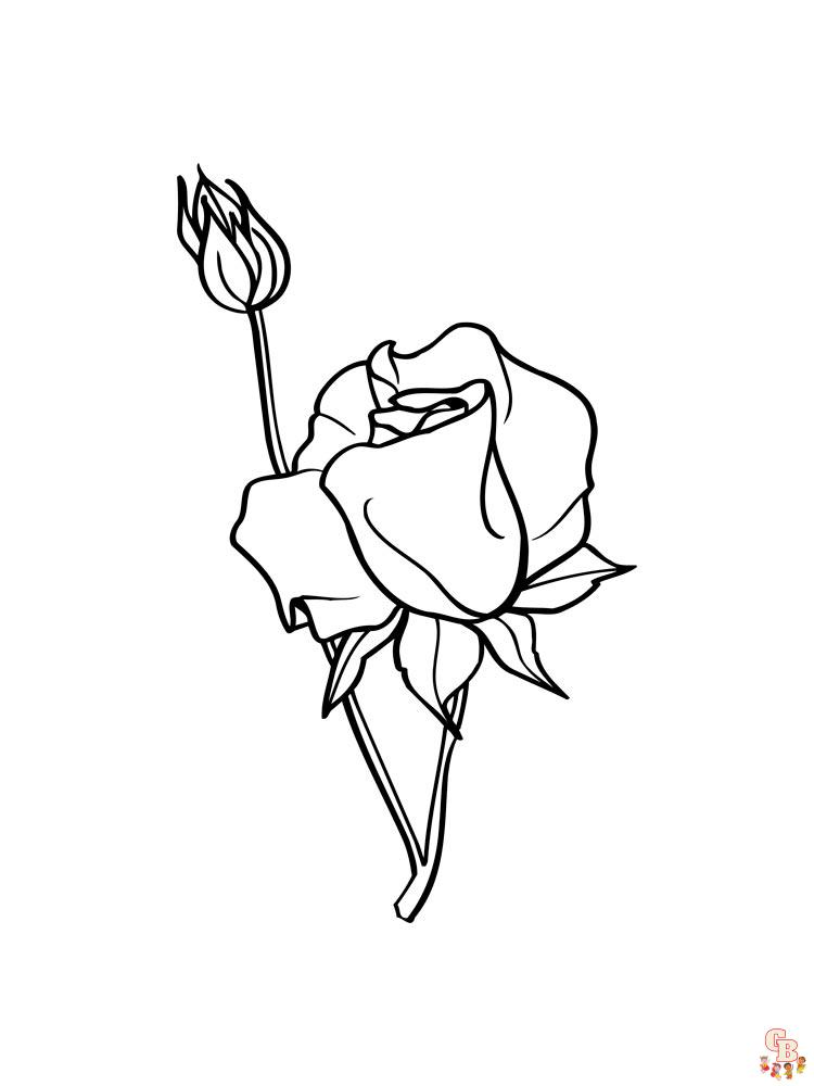 Coloriage rose