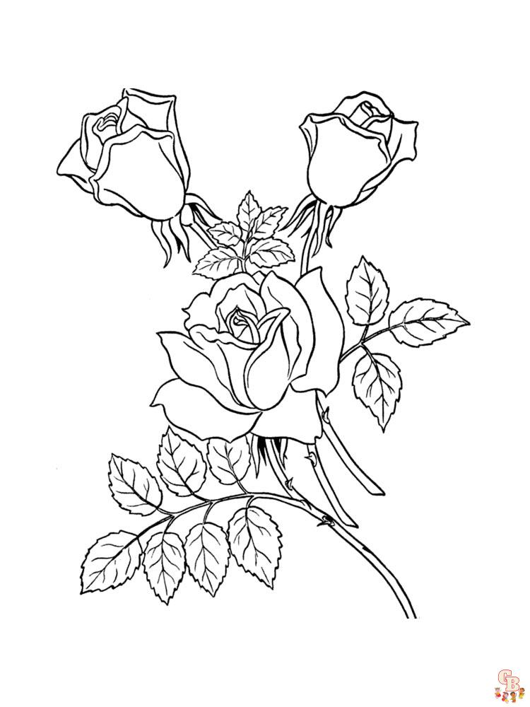 Coloriage rose