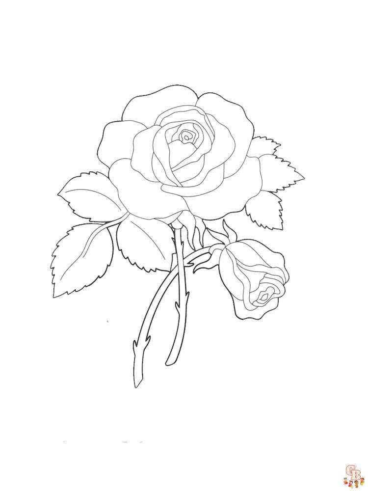 Coloriage rose