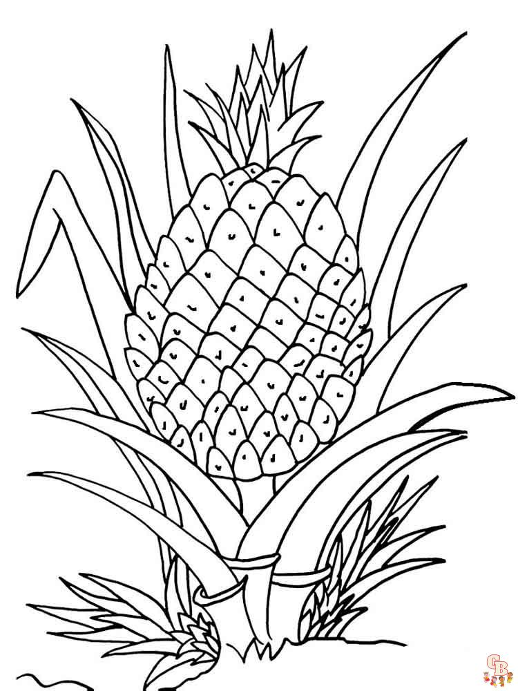 Coloriage Ananas