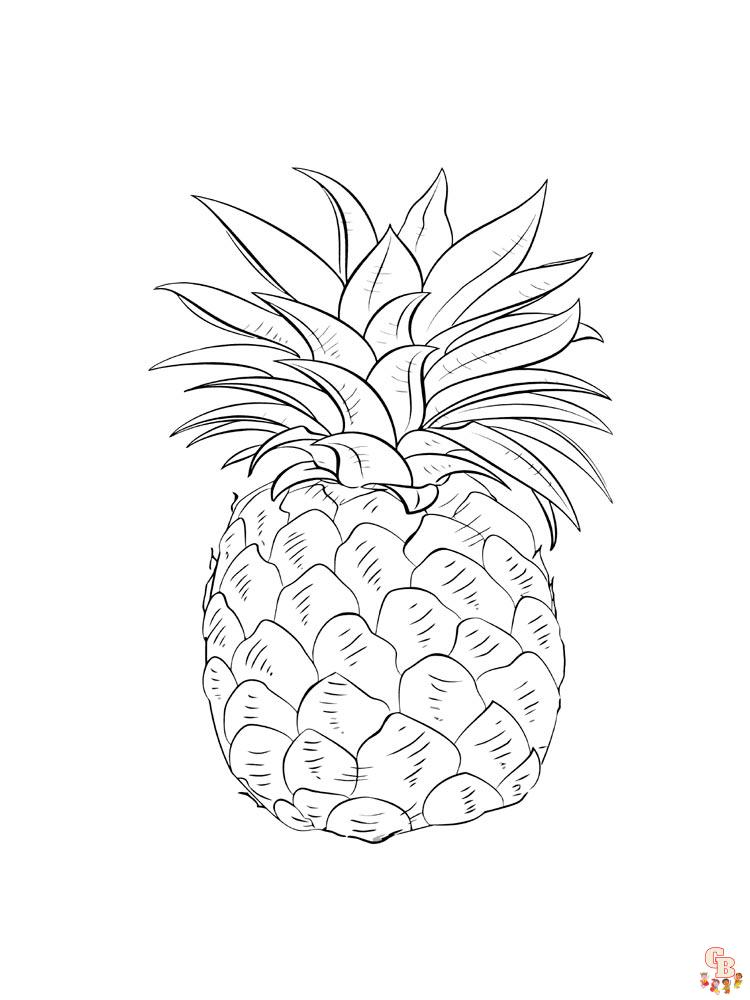 Coloriage Ananas