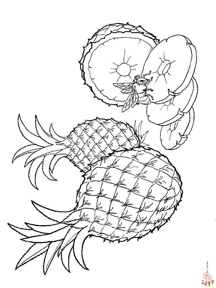 Coloriage Ananas