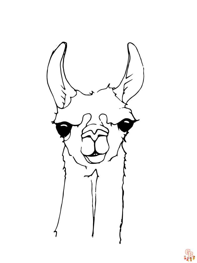 Coloriage Lama