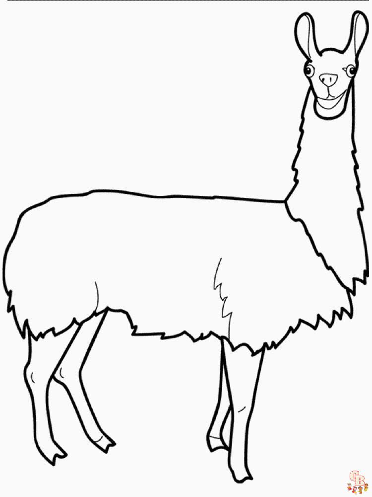 Coloriage Lama