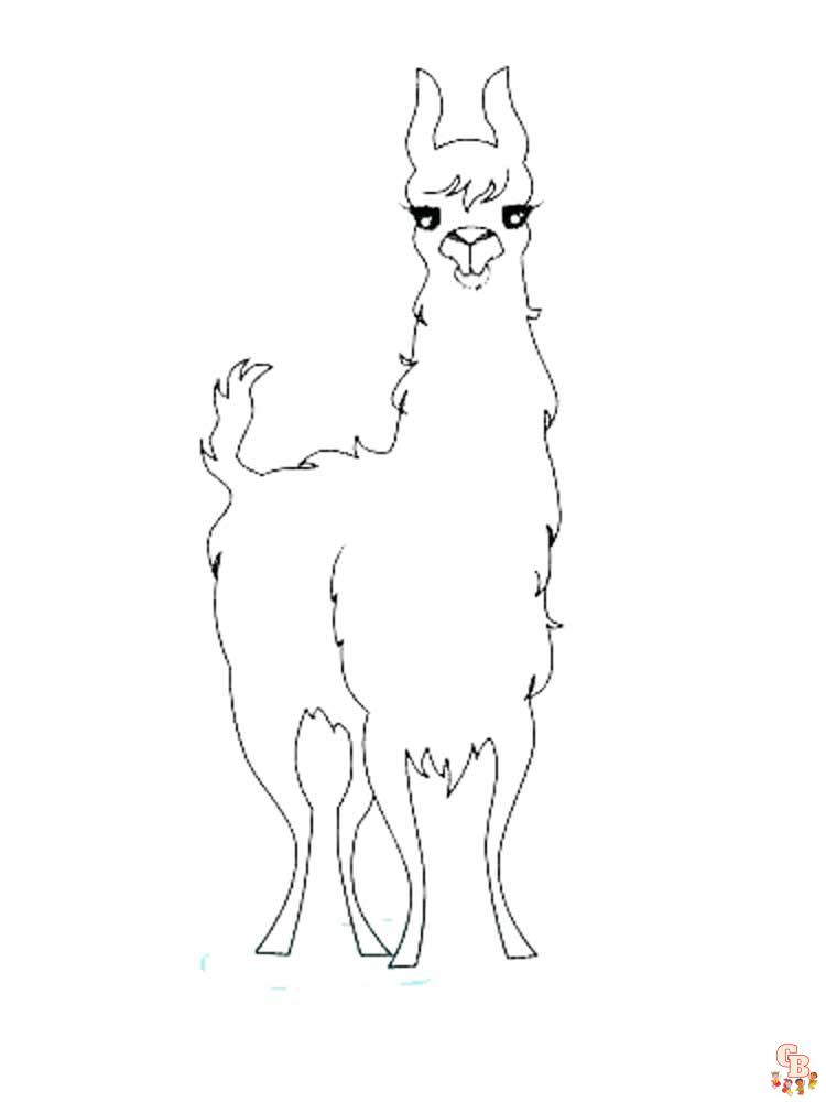 Coloriage Lama