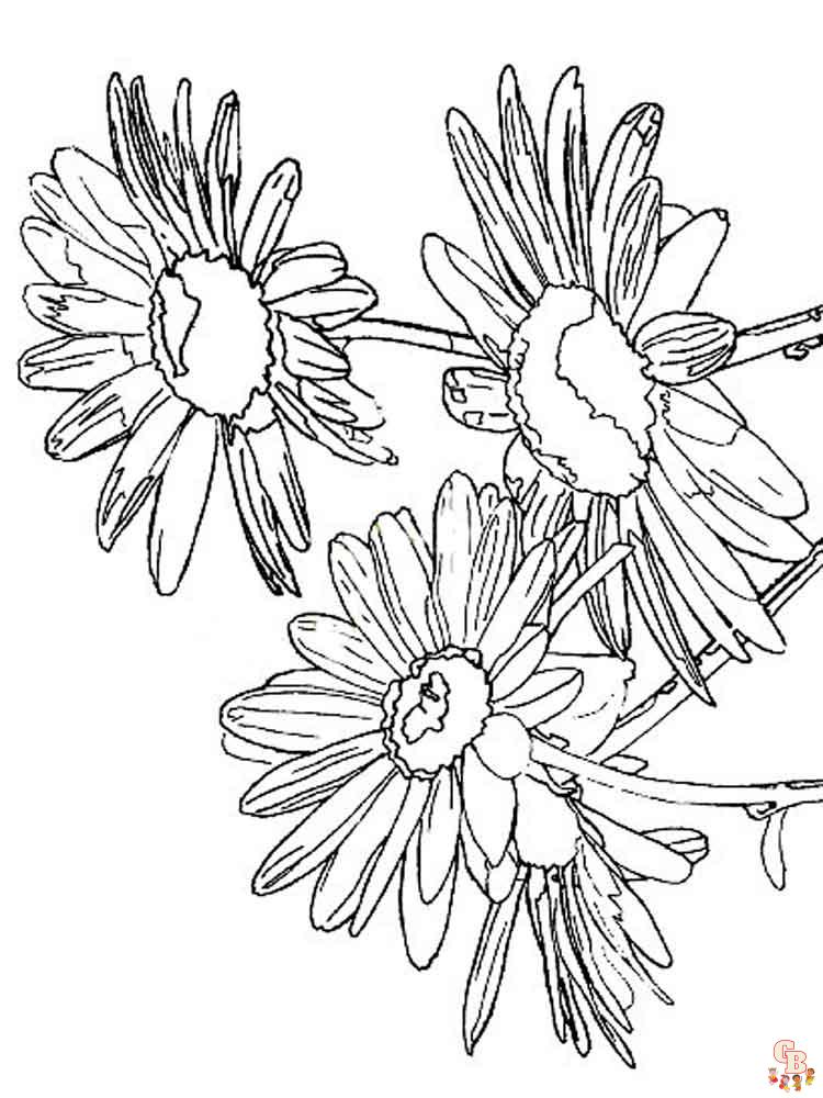 Coloriage Marguerite