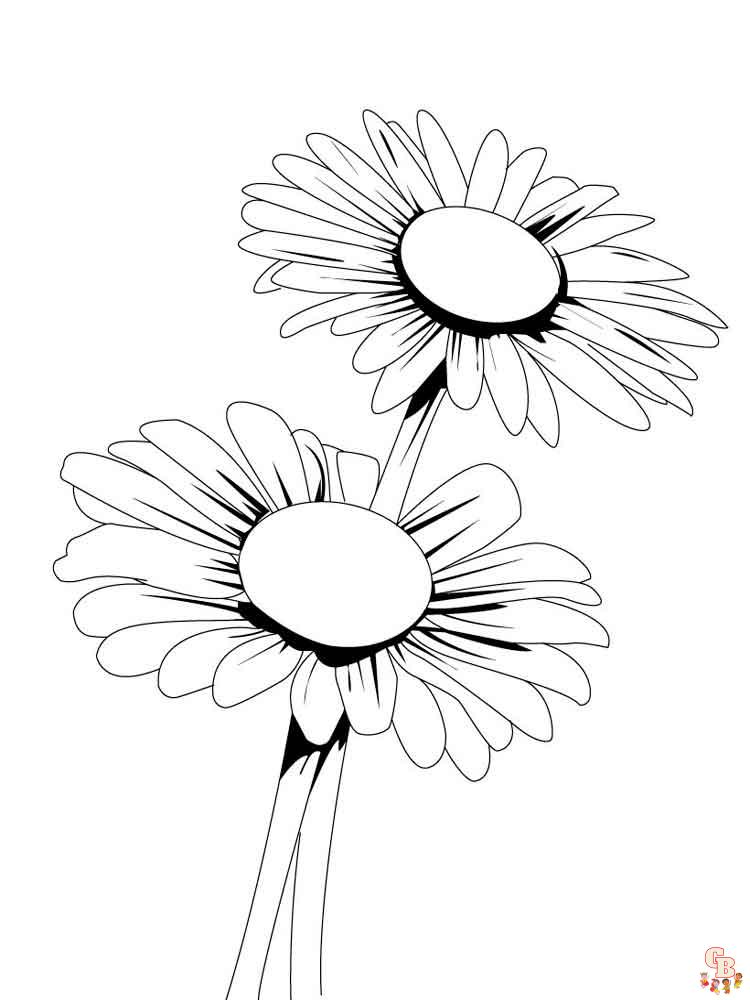 Coloriage Marguerite