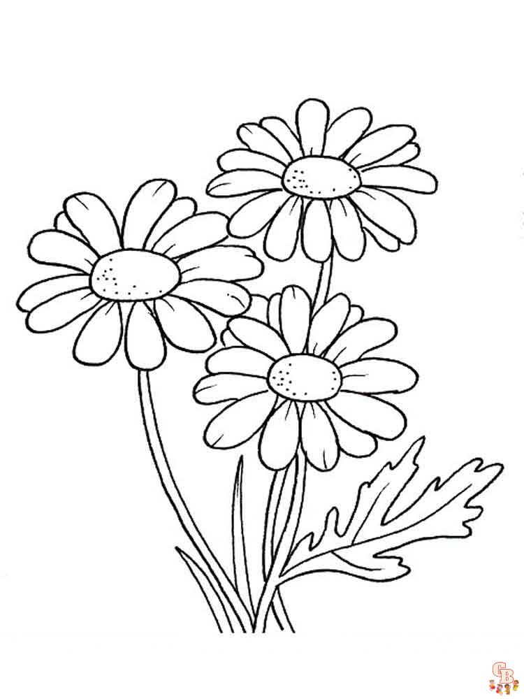 Coloriage Marguerite