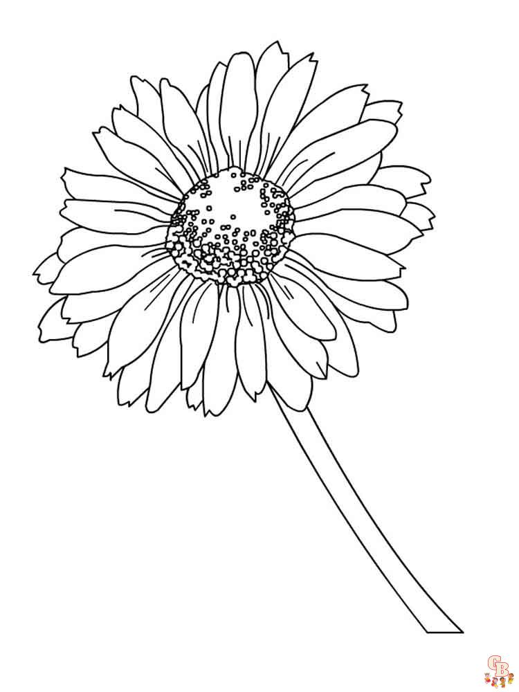 Coloriage Marguerite