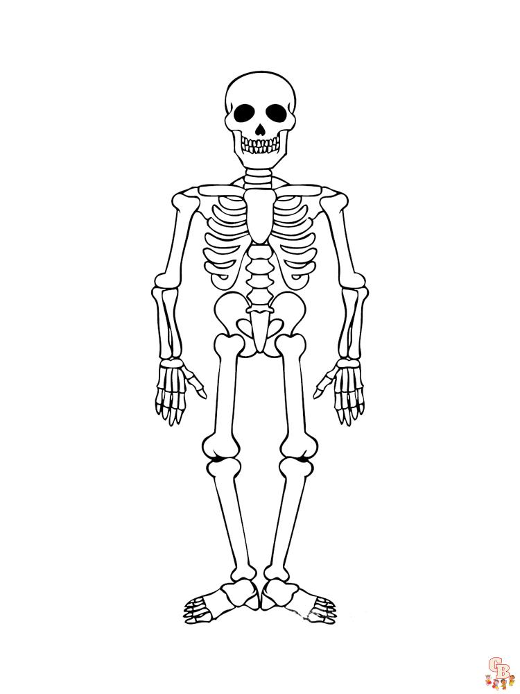 Coloriage squelette