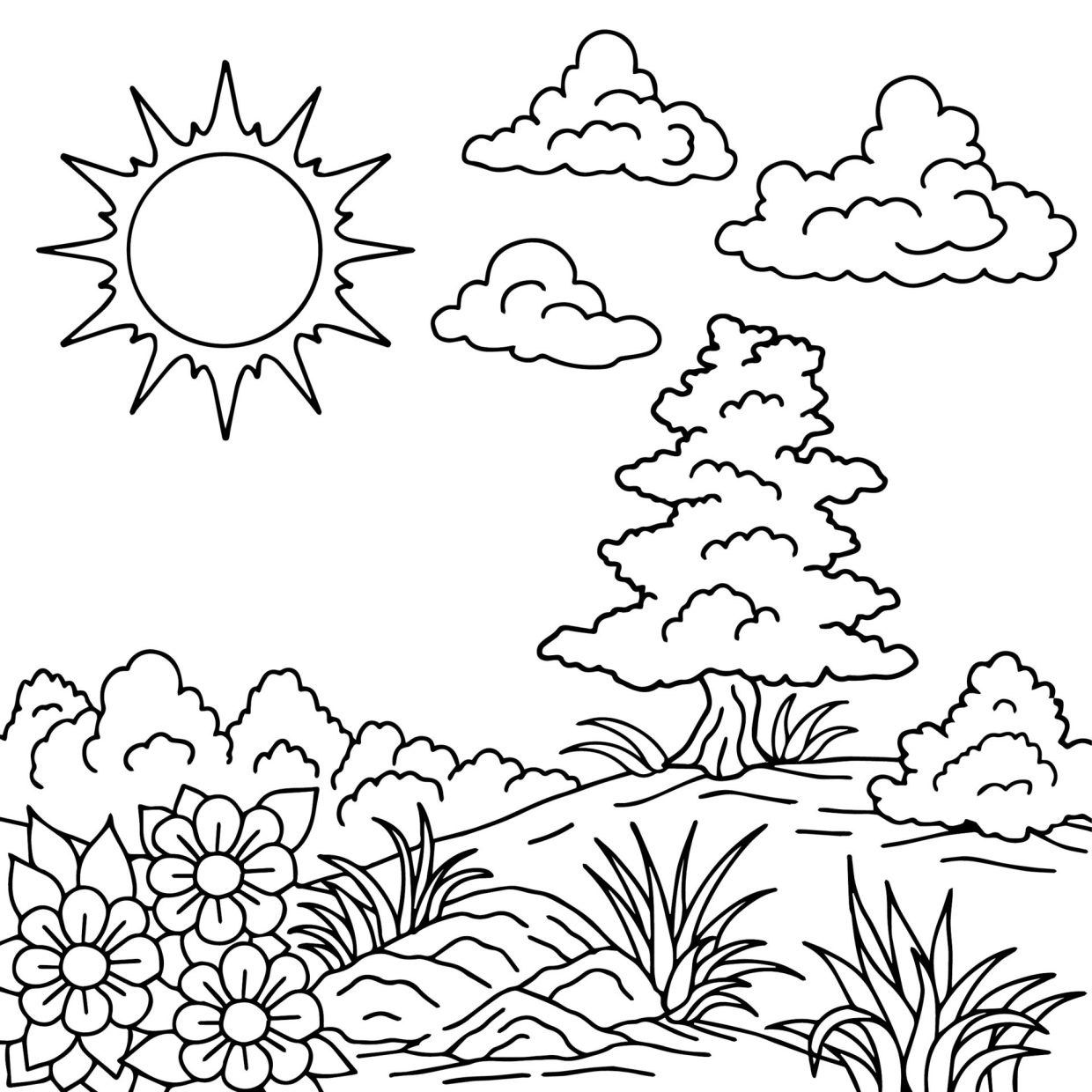 coloriage nature