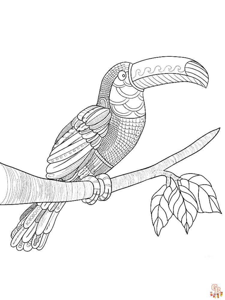 Coloriage Toucan