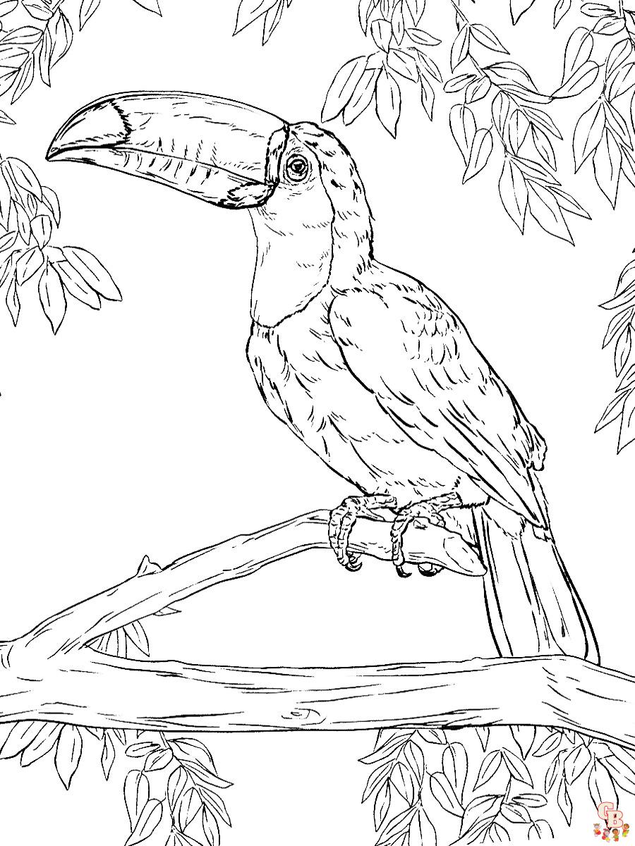 Coloriage Toucan