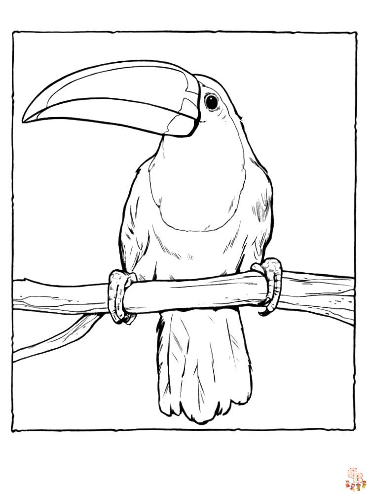 Coloriage Toucan