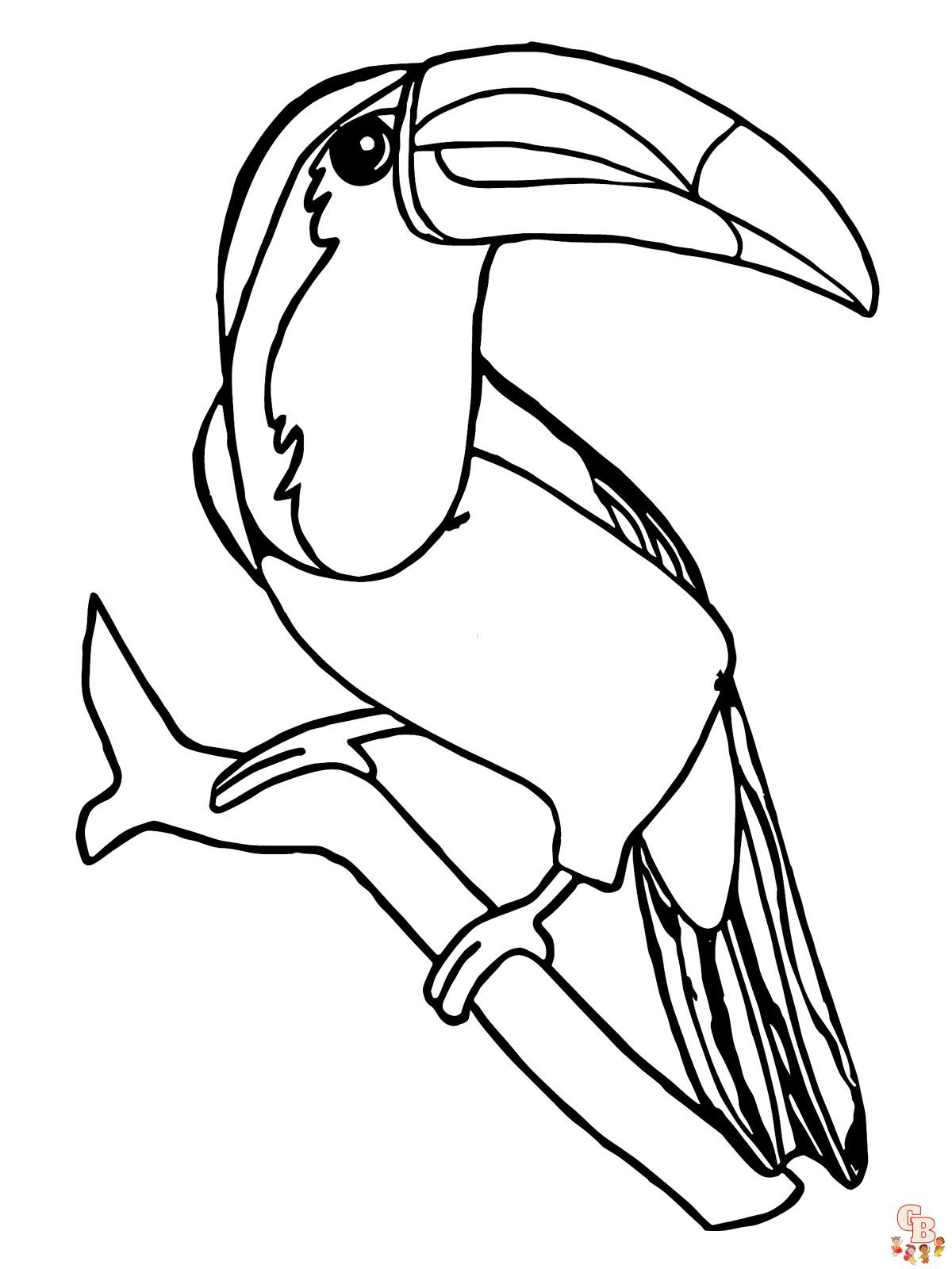 Coloriage Toucan