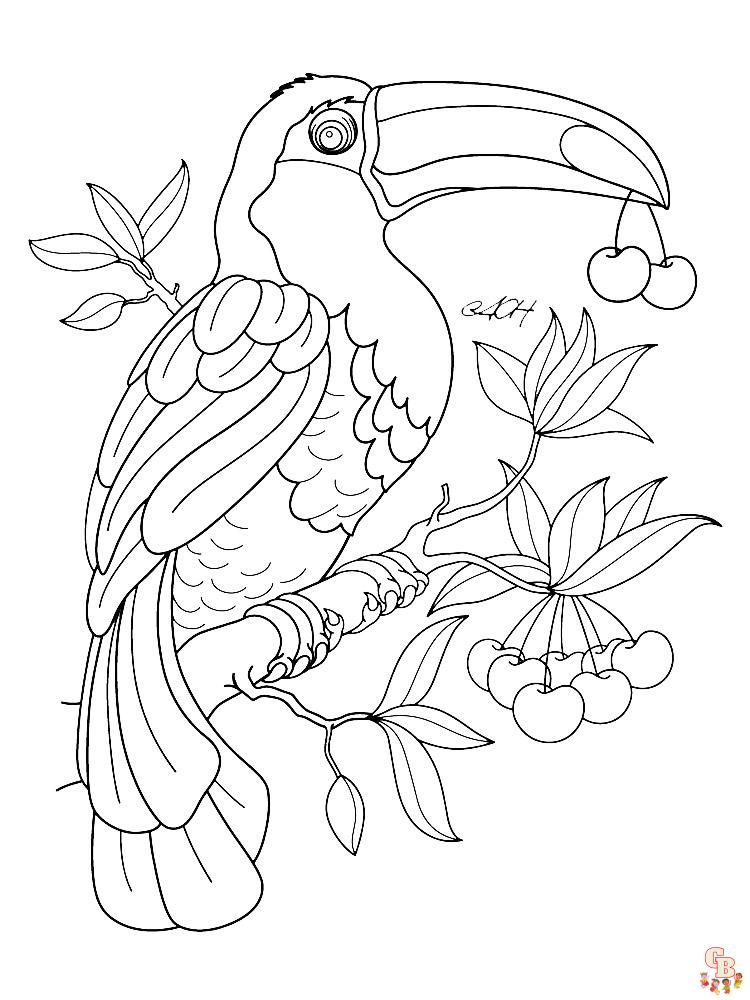 Coloriage Toucan