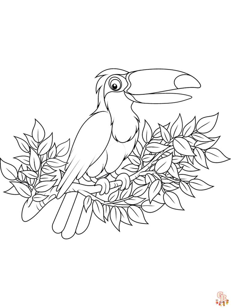 Coloriage Toucan