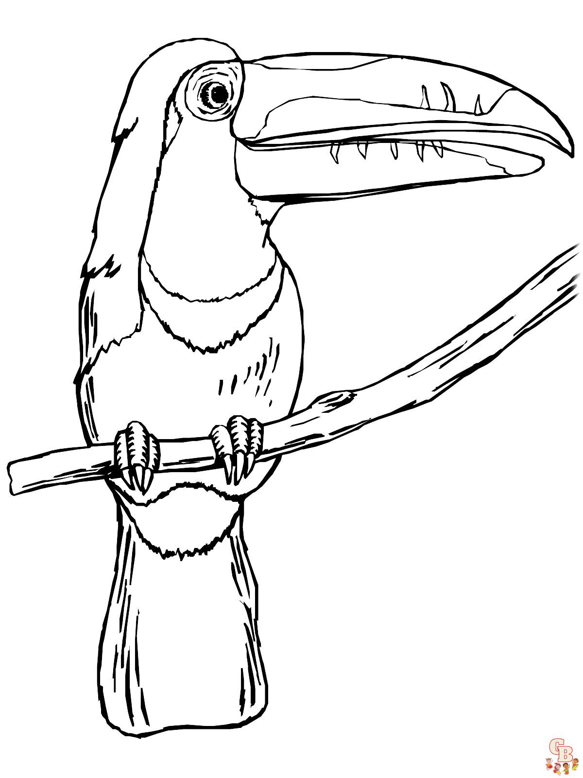 Coloriage Toucan