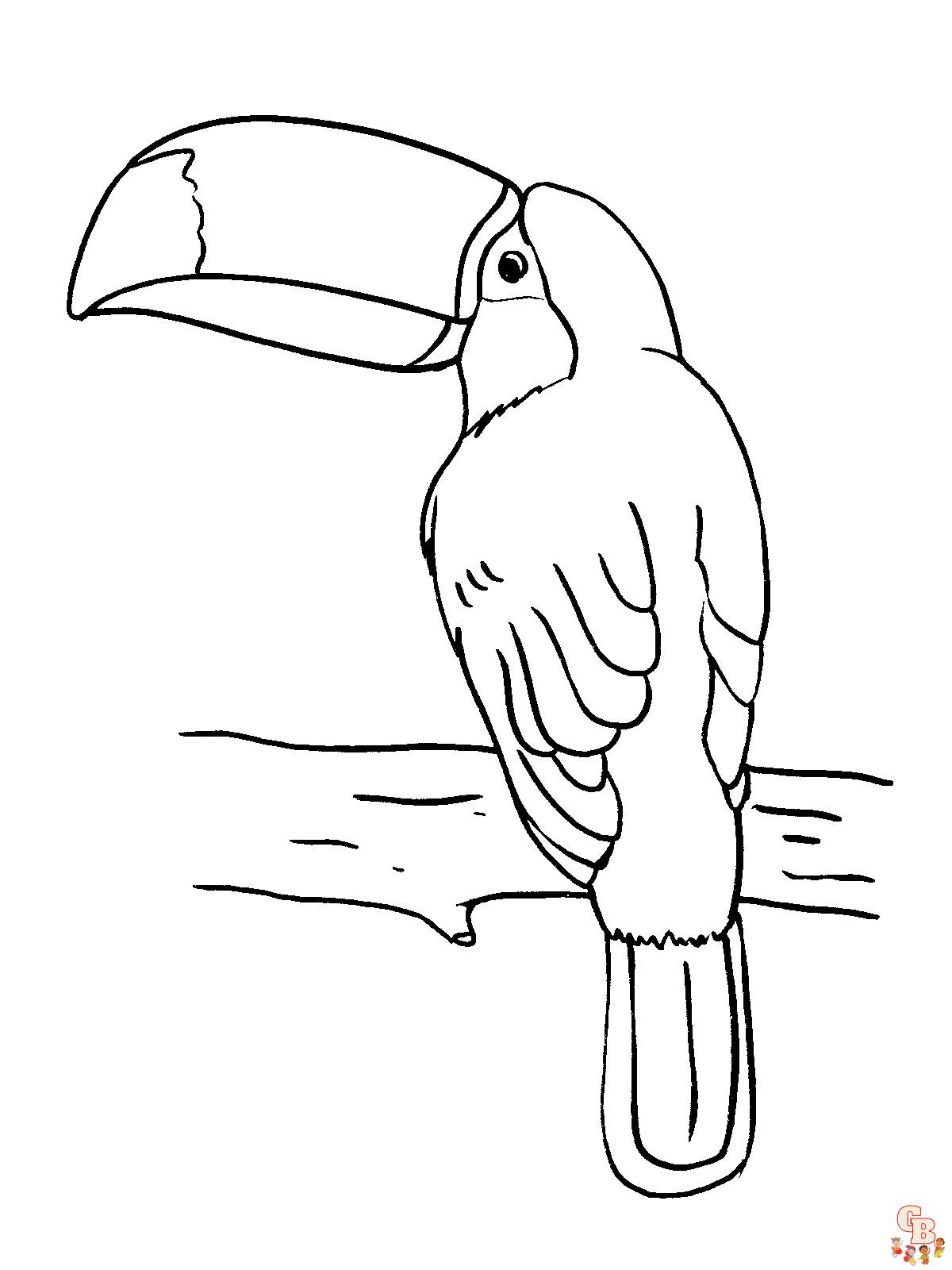 Coloriage Toucan