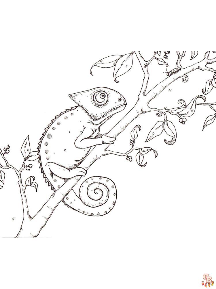 Coloriage chameleon