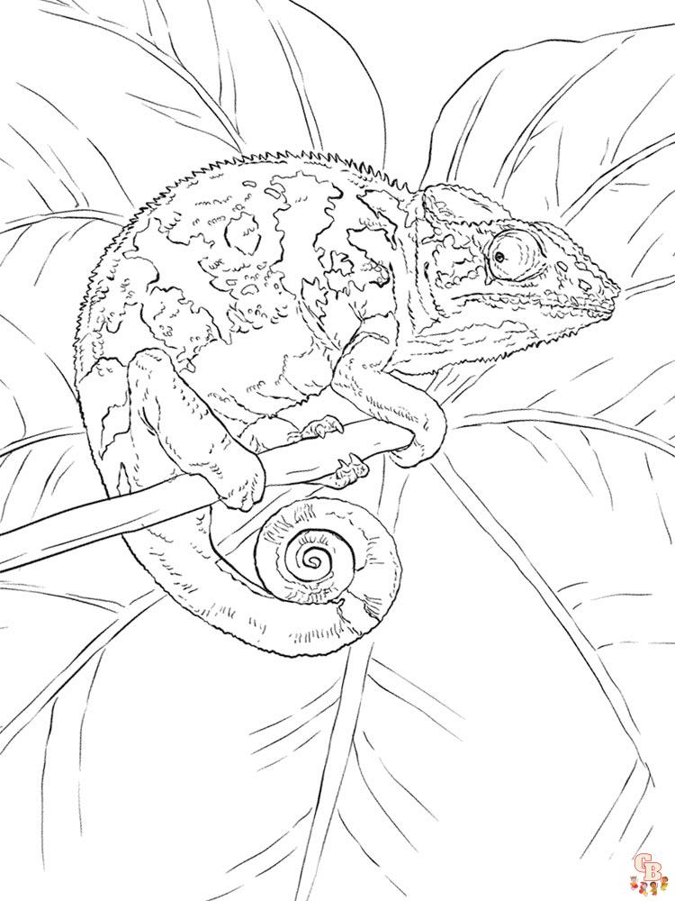 Coloriage chameleon