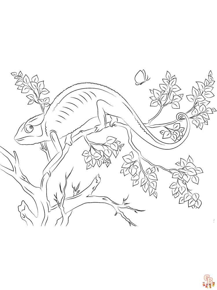 Coloriage chameleon