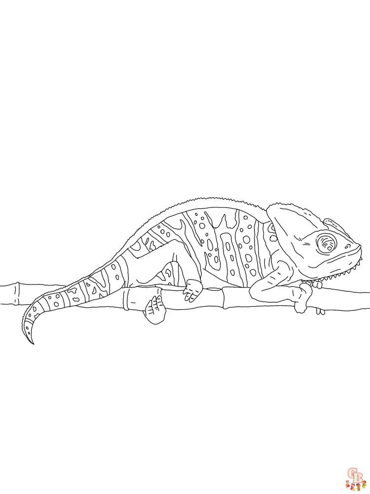 Coloriage chameleon