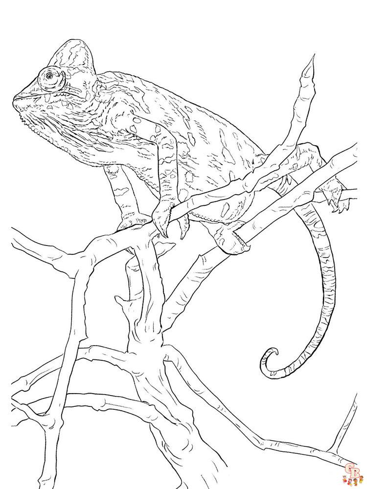 Coloriage chameleon