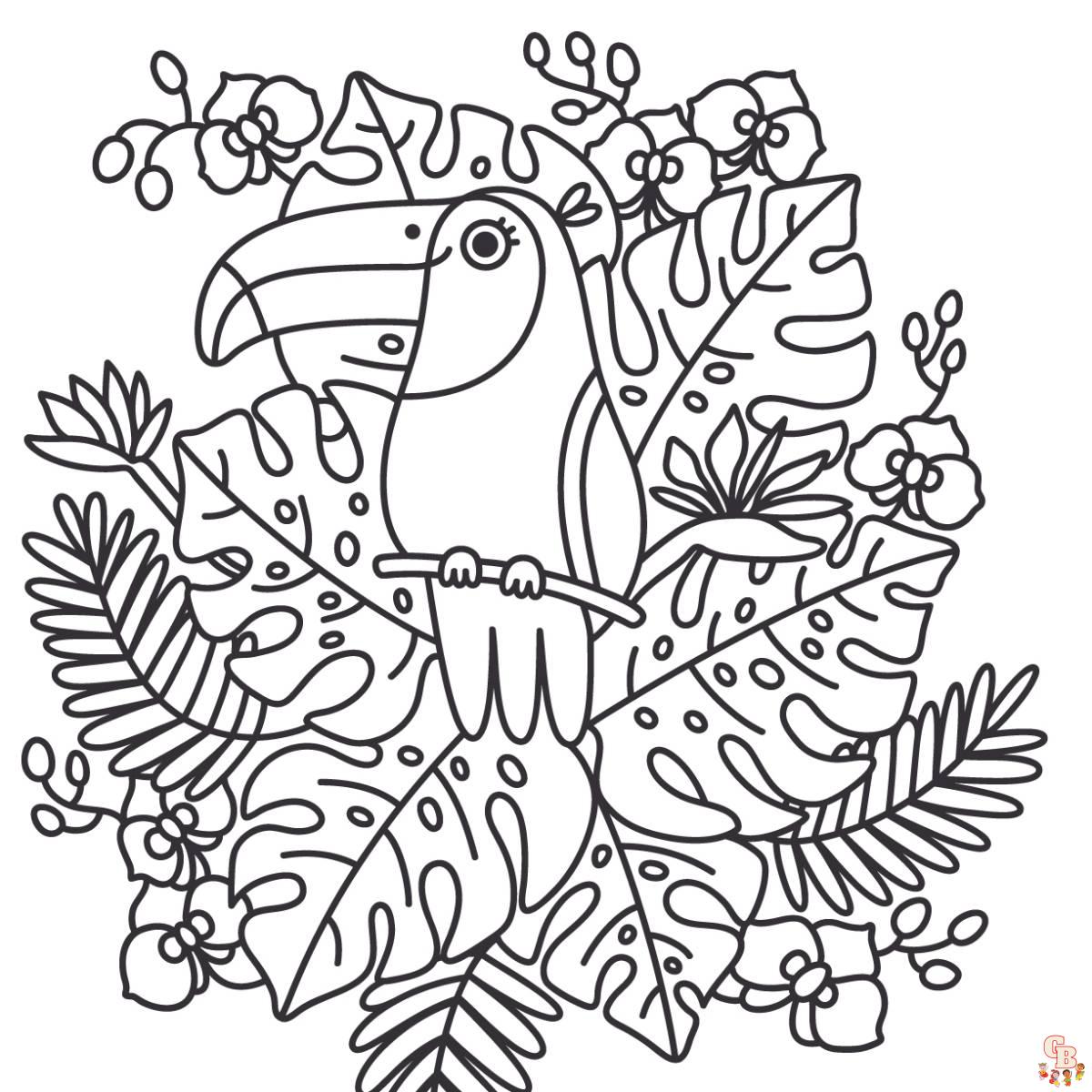 Coloriage Toucan