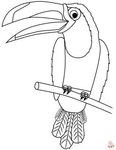 Coloriage Toucan