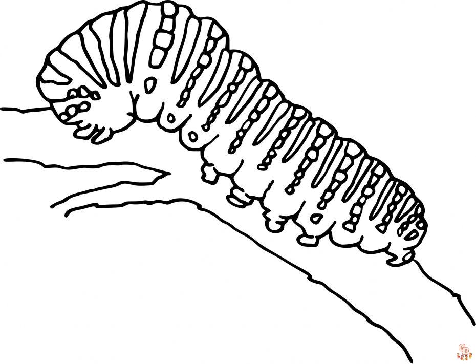 Chenille coloriage - Dessins de Chenille à colorier pour enfants et adultes