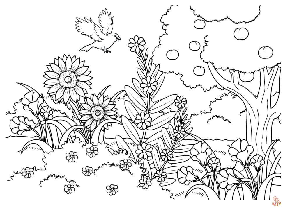 coloriage de jardin