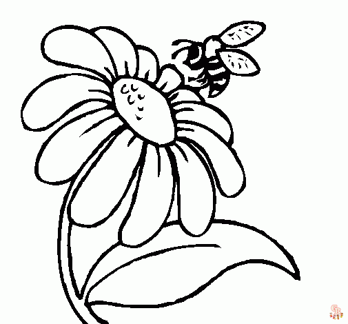 coloriage marguerite