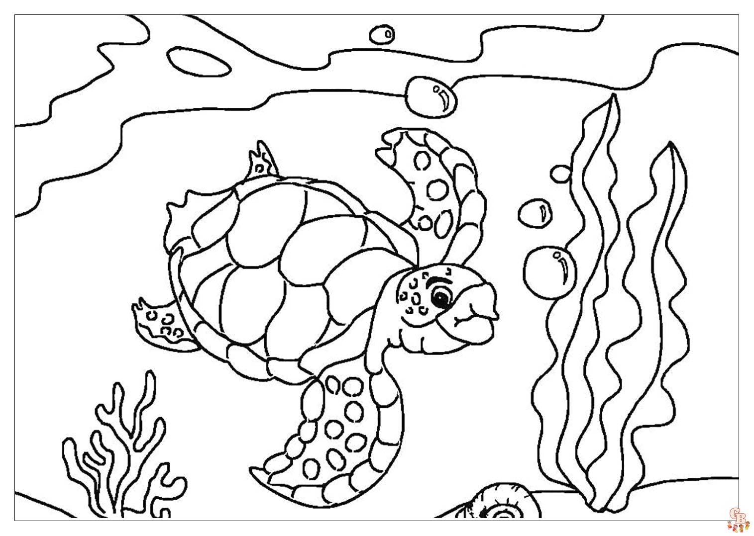 coloriage tortues