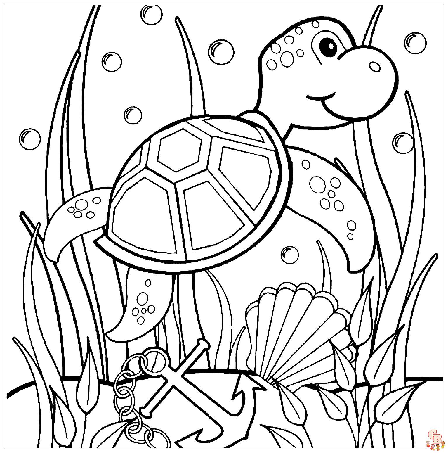 coloriage tortues