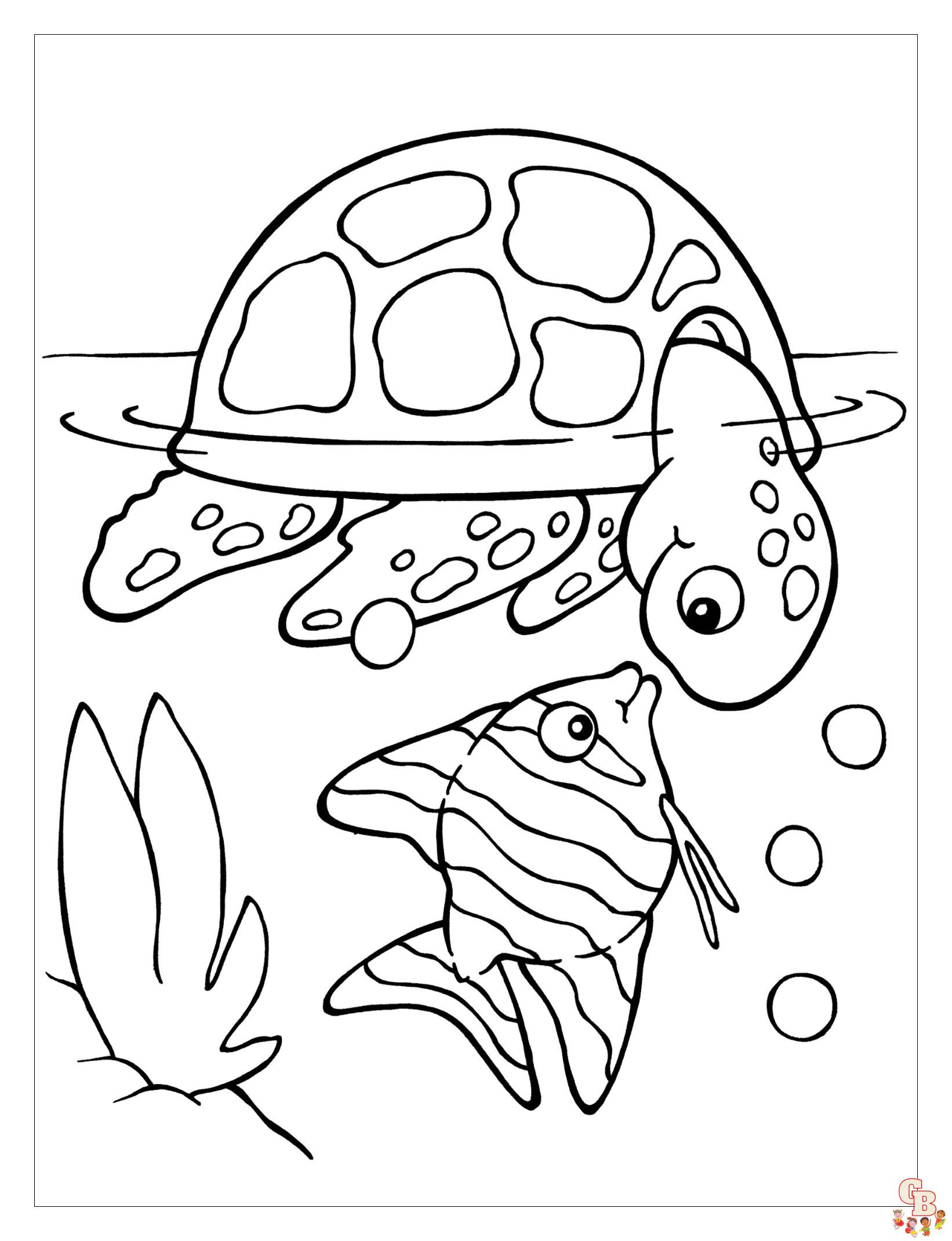 coloriage tortues