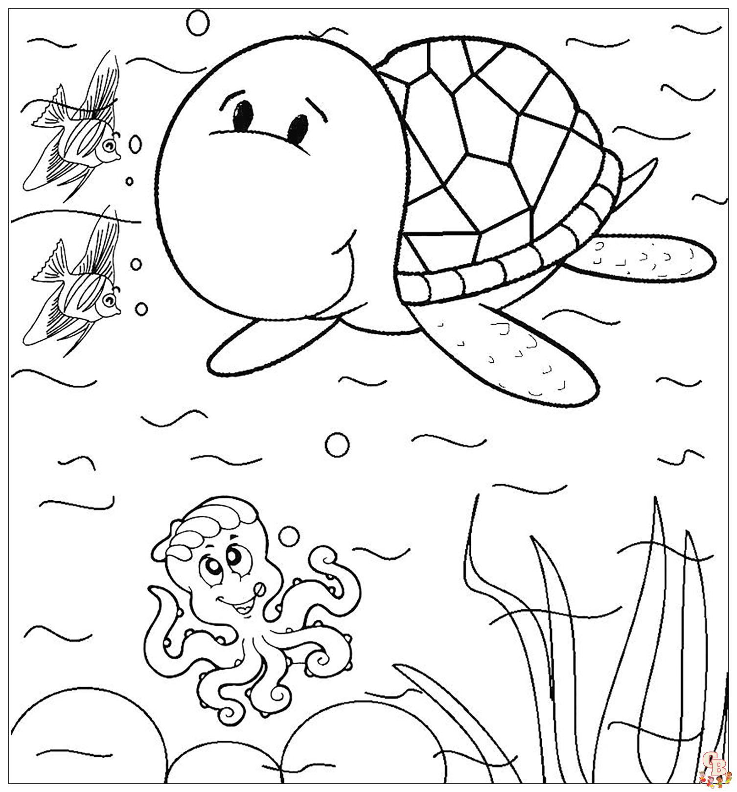 coloriage tortues