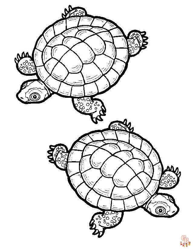 coloriage tortues