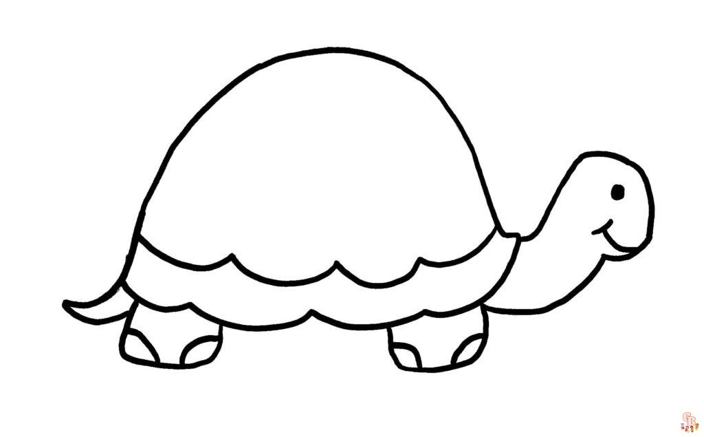 coloriage tortues