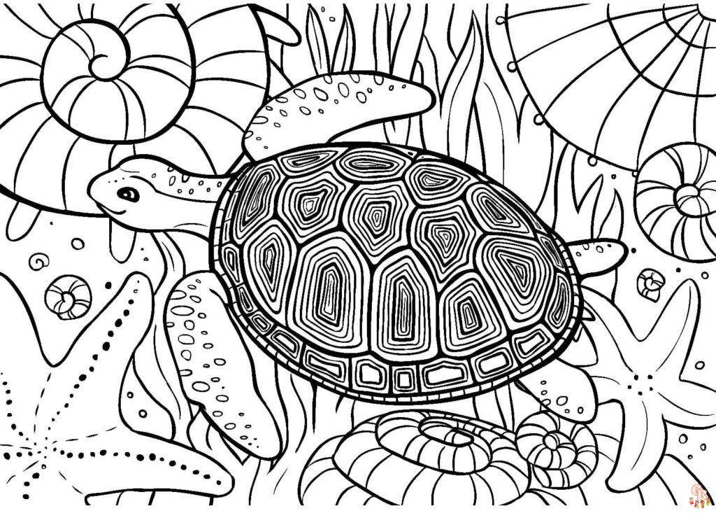 coloriage tortues